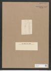 Diatomeae indet. Zeichnungen Sammlung Grunow Nr. 5122 (NHMW-BOT-W0373426)